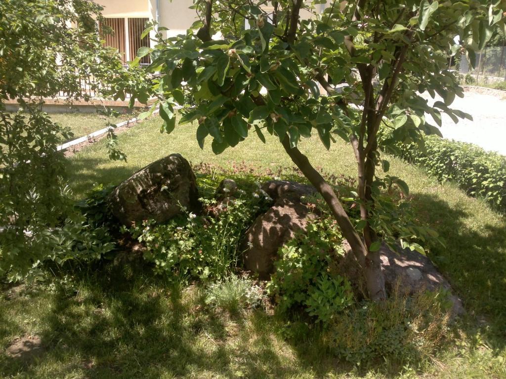 Villa Nanevi Teteven Exterior photo